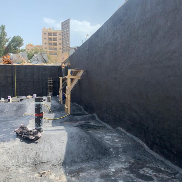 WhatsApp Image 2025-03-18 at 1.05.02 PM (2)