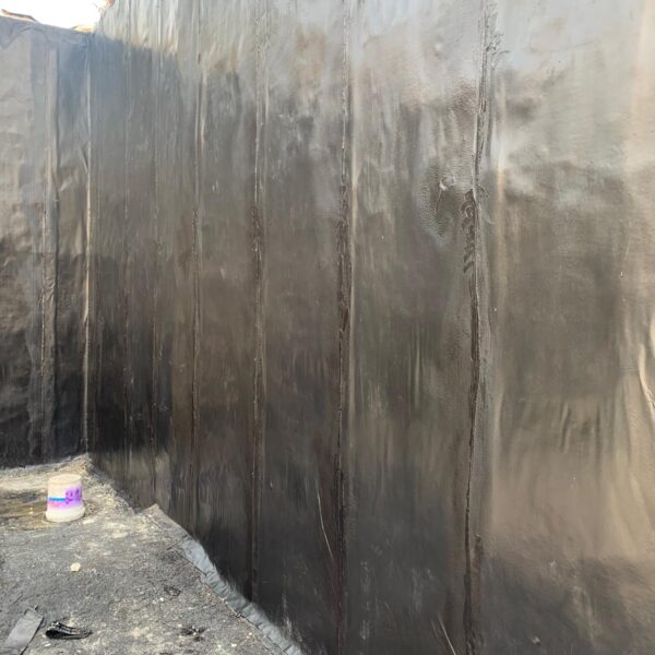 WhatsApp Image 2025-03-18 at 1.05.04 PM (1)