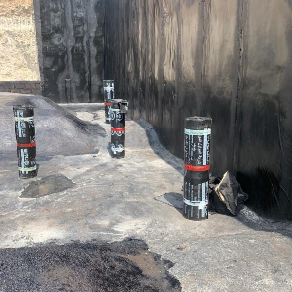 WhatsApp Image 2025-03-18 at 1.05.04 PM (3)