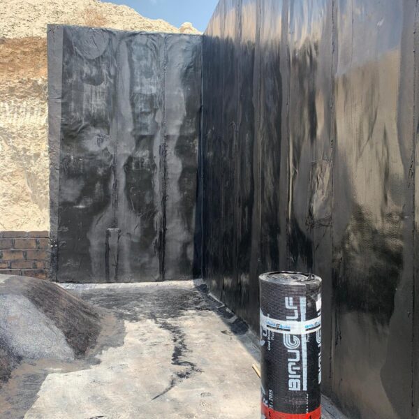 WhatsApp Image 2025-03-18 at 1.05.04 PM (5)