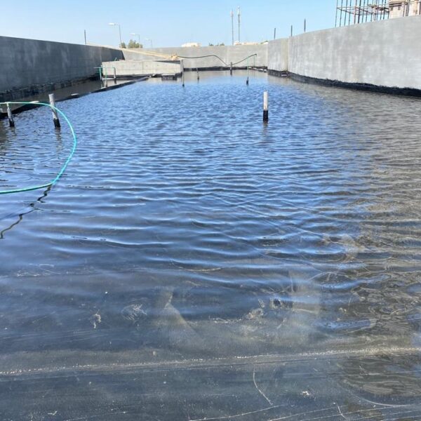 WhatsApp Image 2025-03-18 at 1.05.05 PM (10)