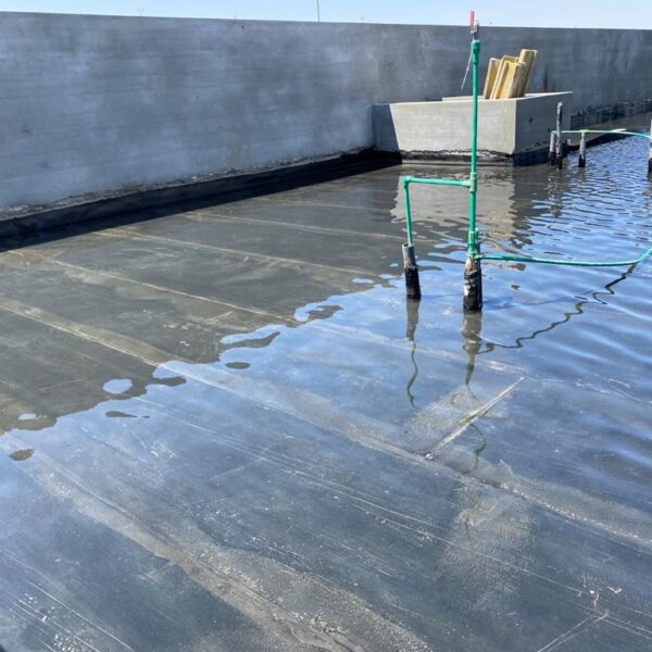 WhatsApp Image 2025-03-18 at 1.05.05 PM (5)